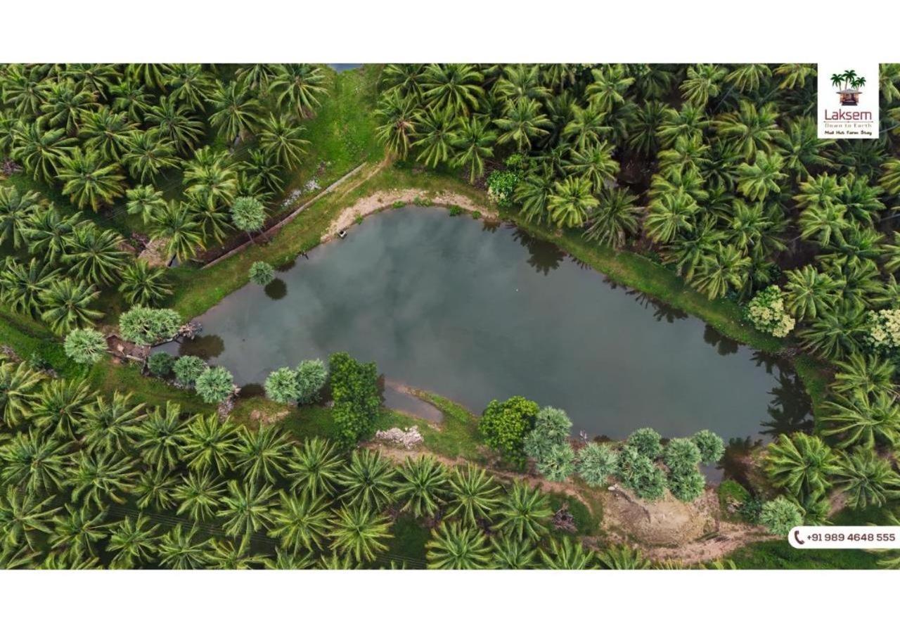 Down To Earth Farmstay By Laksem Anaimalai Exterior foto